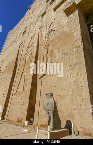 Falcon granit figure du dieu Horus au Temple d'Edfou, un temple égyptien sur la rive ouest du Nil à Edfu, Haute Egypte, l'Afrique du Nord Banque D'Images