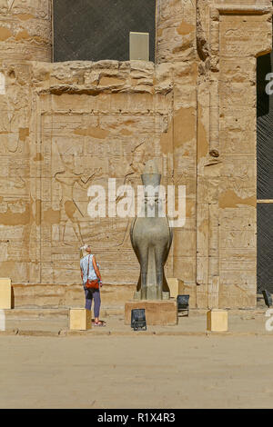 Falcon granit figure du dieu Horus au Temple d'Edfou, un temple égyptien sur la rive ouest du Nil à Edfu, Haute Egypte, l'Afrique du Nord Banque D'Images