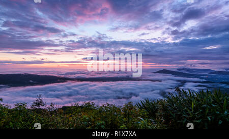 Belle nature paysage du brouillard couvre le sommet et le ciel coloré au lever du soleil en hiver, high angle view du point de vue de Phu R Banque D'Images