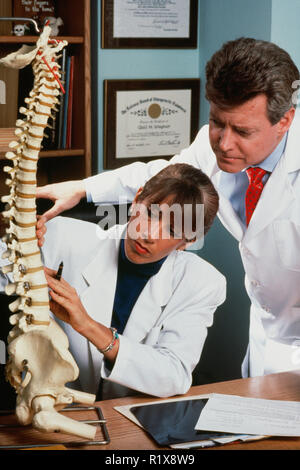 Les chiropraticiens de discuter d'un modèle de colonne vertébrale, USA Banque D'Images