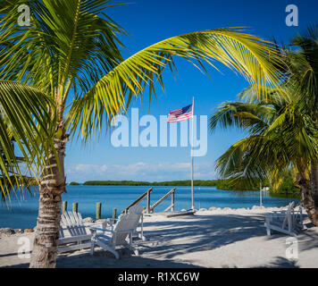 Drapeau américain encadrée par de beaux palmiers à Key West, FL Banque D'Images