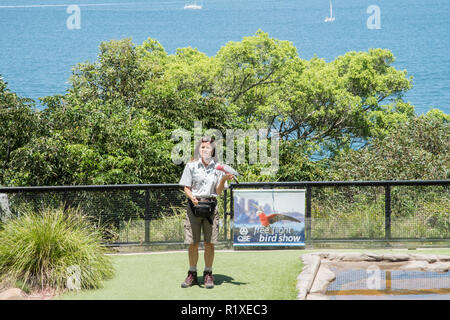 Sydney, Nouvelle Galles du Sud : Australia-December,21,2016 Zookeeper holding cacatoès rosalbin bird au spectacle d'oiseaux au Zoo de Taronga à Sydney, Australie Banque D'Images