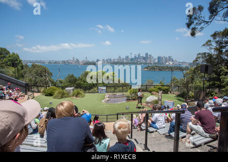 Sydney, Nouvelle Galles du Sud : Australia-December,21,2016 foules au spectacle d'oiseaux en vol libre au Zoo de Taronga à Sydney, Australie Banque D'Images