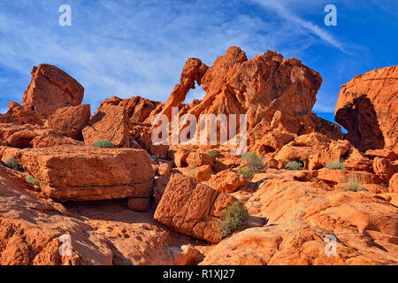 Passage de l'éléphant, la Vallée de Feu State Park, Nevada, USA Banque D'Images