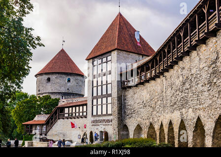 Jardin du roi danois et la Tour, Tallinn, Tartu, Estonie, de comté des États baltes, l'Europe. Banque D'Images