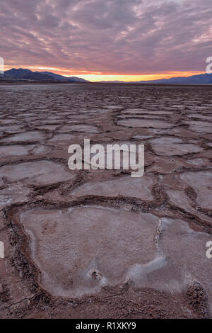 Cottonball polygones du bassin au lever du soleil, la Death Valley National Park, California, USA Banque D'Images