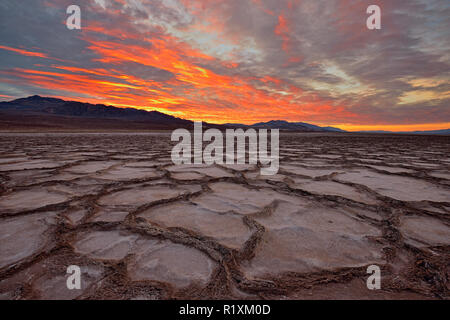 Cottonball polygones du bassin au lever du soleil, la Death Valley National Park, California, USA Banque D'Images