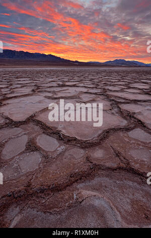 Cottonball polygones du bassin au lever du soleil, la Death Valley National Park, California, USA Banque D'Images