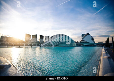 Valence, Espagne - le 14 décembre 2012. L'Oceanografic est le plus grand aquarium d'Europe situé à l'est de la ville de Valence, en Espagne. Le spectaculaire bâtiment est conçu par l'architecte Felix Candela et les ingénieurs structure Alberto Domingo et Carlos Lazaro. Banque D'Images