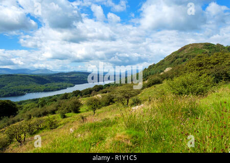 La vue sur l'extrémité sud du lac Windermere à partir du chemin à Gummers Comment sur un beau matin d'été. Gummers comment, sur la droite de la photo, est un point de vue bien connu dans le Lake District, Cumbria, Royaume-Uni. Banque D'Images