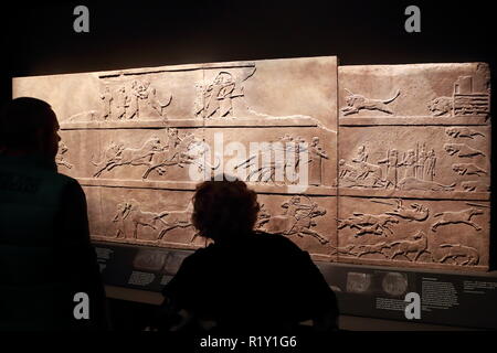 Les visiteurs admirer un Assyrien lion relief montrant des scènes de chasse au British Museum, London, UK Banque D'Images