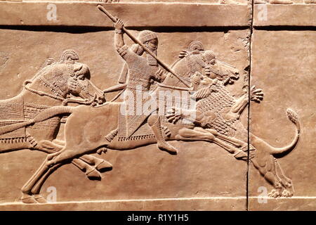 Lion Relief assyrien montrant des scènes de chasse au British Museum, London, UK Banque D'Images