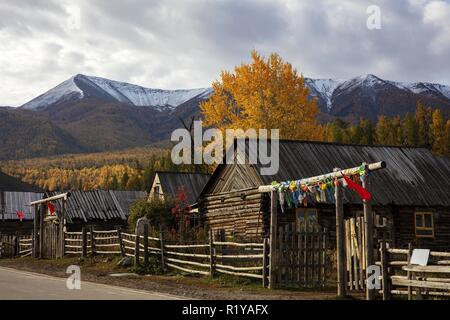 Le Xinjiang, Chine. 15 Nov, 2018. Le Xinjiang, Chine-Baihaba ou Blanc Haba Village, est situé à la frontière entre la Chine et le Kazakhstan. Il n'y a pas de bus pour ce village, si des dispositions de transport doivent être faites à partir de Kanas, l'une des plus ville touristique dans le nord du Xinjiang. Crédit : SIPA Asie/ZUMA/Alamy Fil Live News Banque D'Images