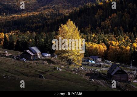 Le Xinjiang, Xinjiang, Chine. 15 Nov, 2018. Le Xinjiang, Chine-Baihaba ou Blanc Haba Village, est situé à la frontière entre la Chine et le Kazakhstan. Il n'y a pas de bus pour ce village, si des dispositions de transport doivent être faites à partir de Kanas, l'une des plus ville touristique dans le nord du Xinjiang. Crédit : SIPA Asie/ZUMA/Alamy Fil Live News Banque D'Images