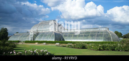 L'emblématique Maison tempérée présentant plus de 10 000 plantes dans la plus grande serre victorienne sculpturale au Royal Botanic Gardens de Kew, Engla Banque D'Images