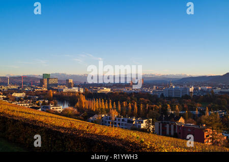 La ville de Zurich à partir de vista au sommet d'Hongg parés aux couleurs de l'automne en automne les buissons au premier plan Banque D'Images