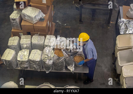 Hilo, Hawaii - un processus de travail de macadamia au Mauna Loa Macadamia Nut Factory. Banque D'Images