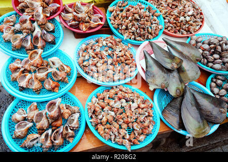 Vente de coquilles de palourdes fraîches et turbo célèbre marché aux poissons de Jagalchi à Busan, en Corée du Sud Banque D'Images