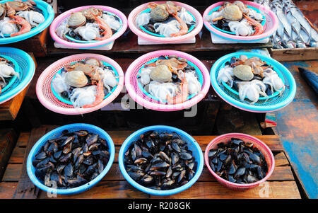 Vente de palourdes fraîches, moules, crevettes, poulpes et autres fruits de mer au célèbre marché aux poissons de Jagalchi à Busan, Corée du Sud Banque D'Images