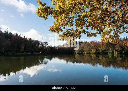 Lac de Shearwater en automne Banque D'Images