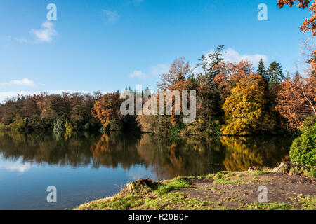 Lac de Shearwater en automne Banque D'Images