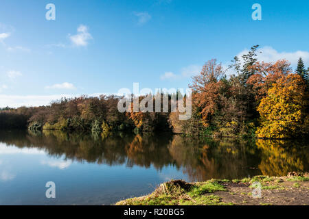 Lac de Shearwater en automne Banque D'Images