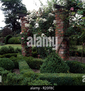 Des roses blanches sur les piliers en brique knot garden Banque D'Images