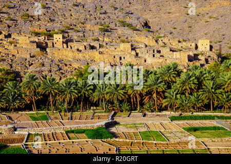 Avis de Ghul village fantôme, Al Hamra, Oman. Banque D'Images