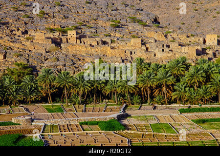 Avis de Ghul village fantôme, Al Hamra, Oman. Banque D'Images