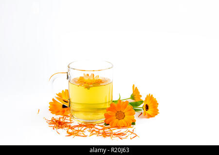 Calendula officinalis le souci officinal, ruddles, marigold commun ou Scotch, marigold fleurs plantes verre en verre clair, remède médical concept. Isol Banque D'Images