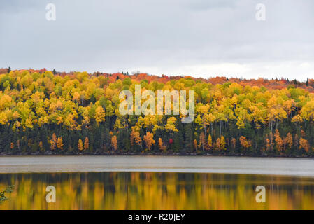 Saison d'automne, à côté de Val-d'Or (Québec) dans la région de l'Abitibi-Témiscamingue Banque D'Images