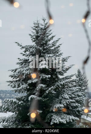 Les lumières de Noël accroché à la fenêtre avec vue sur les arbres enneigés Banque D'Images