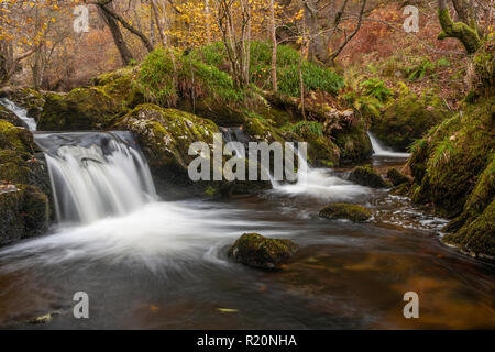 Chute dans un ruisseau rocheux à l'Aira Force dans le Lake District, en Angleterre Banque D'Images