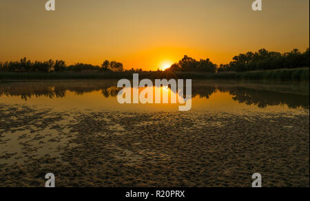 Lever du soleil à l'extérieur du parc safari Rhino Cullinan, Afrique du Sud Banque D'Images