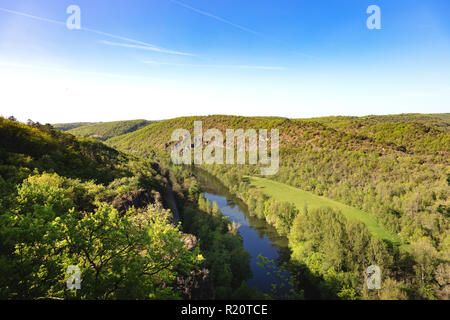 Vue de la rivière Tarn et de Bruniquel forêt, Tarn, Midi-Pyrénées, Occitanie, France Banque D'Images