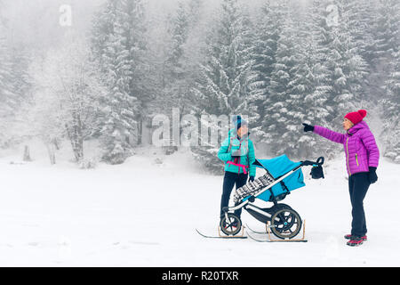 Maman avec poussette de bébé forêt profiter de l'hiver avec des ami ou partenaire, le temps de famille. La randonnée ou la marche sportive woman with sled la pram en bois. Banque D'Images