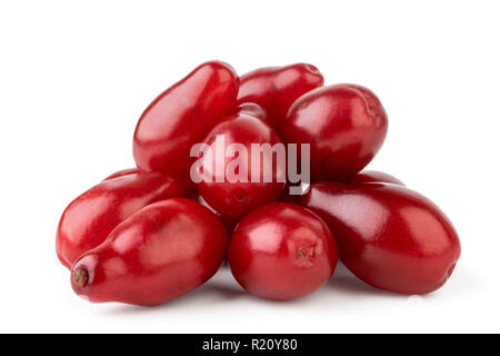 Un bouquet de fruits rouges mûrs sur un cornouiller blanc, isolé. Banque D'Images