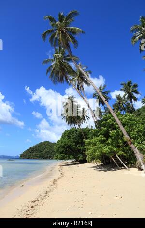 Se penchant palmiers de Las Cabanas beach à El Nido, l'île de Palawan, Philippines. Banque D'Images