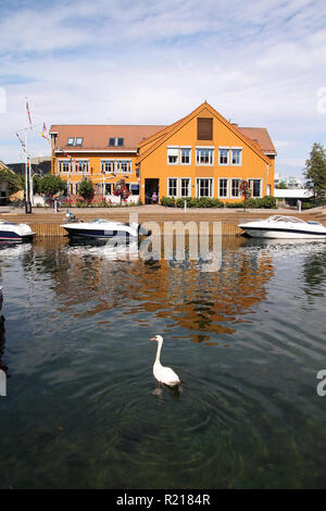 Kristiansand, Norvège. Capitale du comté de Hordaland. White Swan dans le port. Banque D'Images