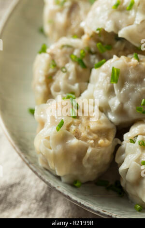 Porc maison Shu Mai Quenelles avec Sauce Banque D'Images