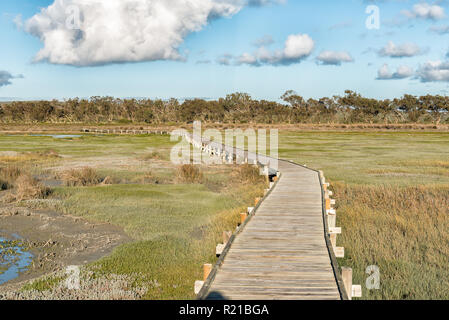 Vue depuis la promenade jusqu'à l'Oiseau Geelbek masquer sur le lagon de Langebaan sur la côte de l'Océan Atlantique de la province de Western Cape Banque D'Images