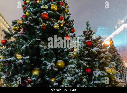 Les arbres de Noël à l'Manezh Square à Moscou Banque D'Images