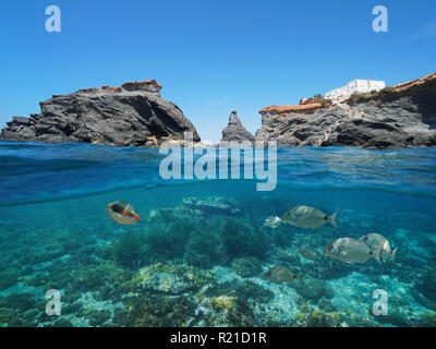 Côte Rocheuse avec des poissons sous l'eau, vue fractionnée de la moitié au-dessus et au-dessous de la surface de l'eau, mer Méditerranée, Cabo de Palos, Cartagena, Murcia, Espagne Banque D'Images