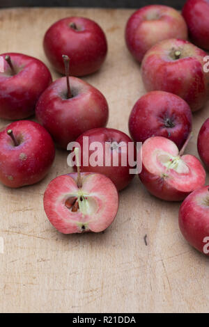 Malus domestica. La pomme 'Redlove era'. 'Ère' Redlove récoltés Pommes sur un woodenboard dont certaines ont été coupées en deux pour montrer la chair rouge Banque D'Images