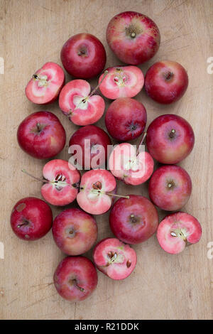 Malus domestica. La pomme 'Redlove era'. 'Ère' Redlove récoltés Pommes sur un woodenboard dont certaines ont été coupées en deux pour montrer la chair rouge Banque D'Images