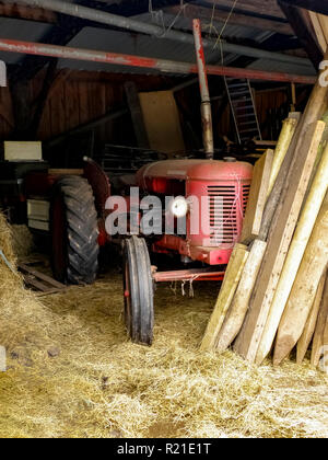 Dirty old abandoned vintage red David Brown 25T tracteur dans une grange entouré de foin et paille, avec bois et poteaux de clôture entassés devant elle. UK Banque D'Images