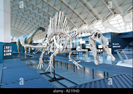 Taille fe squelette de dinosaure au Musée des sciences à l'Arts des Sciences, Valence, Espagne. Banque D'Images