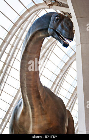 Une taille de la vie brontysaurus au Musée des sciences de dinosaures à l'Arts des Sciences, Valence, Espagne. Banque D'Images