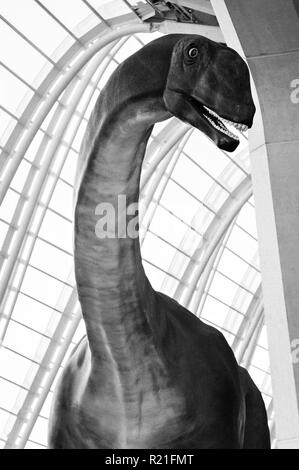 Une taille de la vie brontysaurus au Musée des sciences de dinosaures à l'Arts des Sciences, Valence, Espagne. Banque D'Images