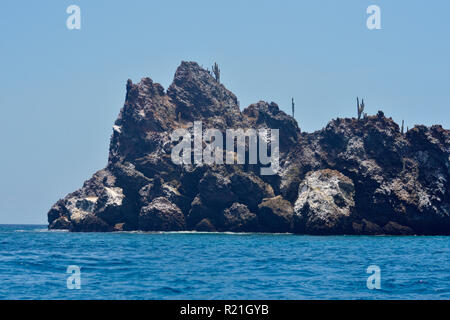 La Couronne du diable d'une panga- des affleurements de roches ignées et les cactus, parc national des Îles Galapagos, l'île de Floreana, Equateur Banque D'Images